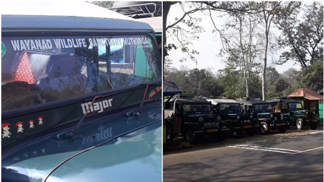 മുത്തങ്ങയിലെ ജീപ്പുകള്‍ പേര് മാറ്റുമോ?; സഫാരി ജീപ്പുകളിലെ പേരിനെ ചൊല്ലി വിവാദം