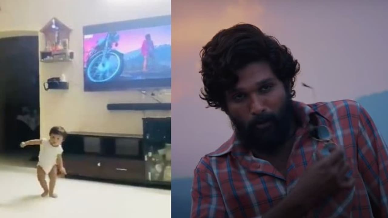 'പുഷ്പ'യുടെ ഏറ്റവും പ്രായം കുറഞ്ഞ ആരാധകന്; വൈറല് വീഡിയോ 'പുഷ്പ'യുടെ ഏറ്റവും പ്രായം കുറഞ്ഞ ആരാധകന്; വൈറല് വീഡിയോ