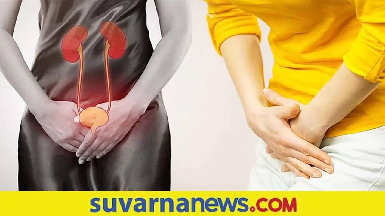 ಪುರುಷರಿಗಿಂತ ಮಹಿಳೆಯನ್ನು ಮೂತ್ರ ಸೋಂಕು ಹೆಚ್ಚು ಕಾಡೋದೇಕೆ? ಪುರುಷರಿಗಿಂತ ಮಹಿಳೆಯನ್ನು ಮೂತ್ರ ಸೋಂಕು ಹೆಚ್ಚು ಕಾಡೋದೇಕೆ?