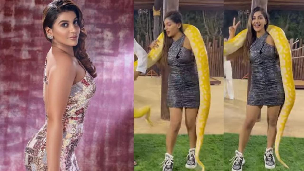 viral video : மலைப்பாம்பை அலேக்காக தூக்கி கழுத்தில் போட்டுக்கொண்டு கூலாக போஸ் கொடுத்த யாஷிகா வைரலாகும் வீடியோ viral video : மலைப்பாம்பை அலேக்காக தூக்கி கழுத்தில் போட்டுக்கொண்டு கூலாக போஸ் கொடுத்த யாஷிகா வைரலாகும் வீடியோ