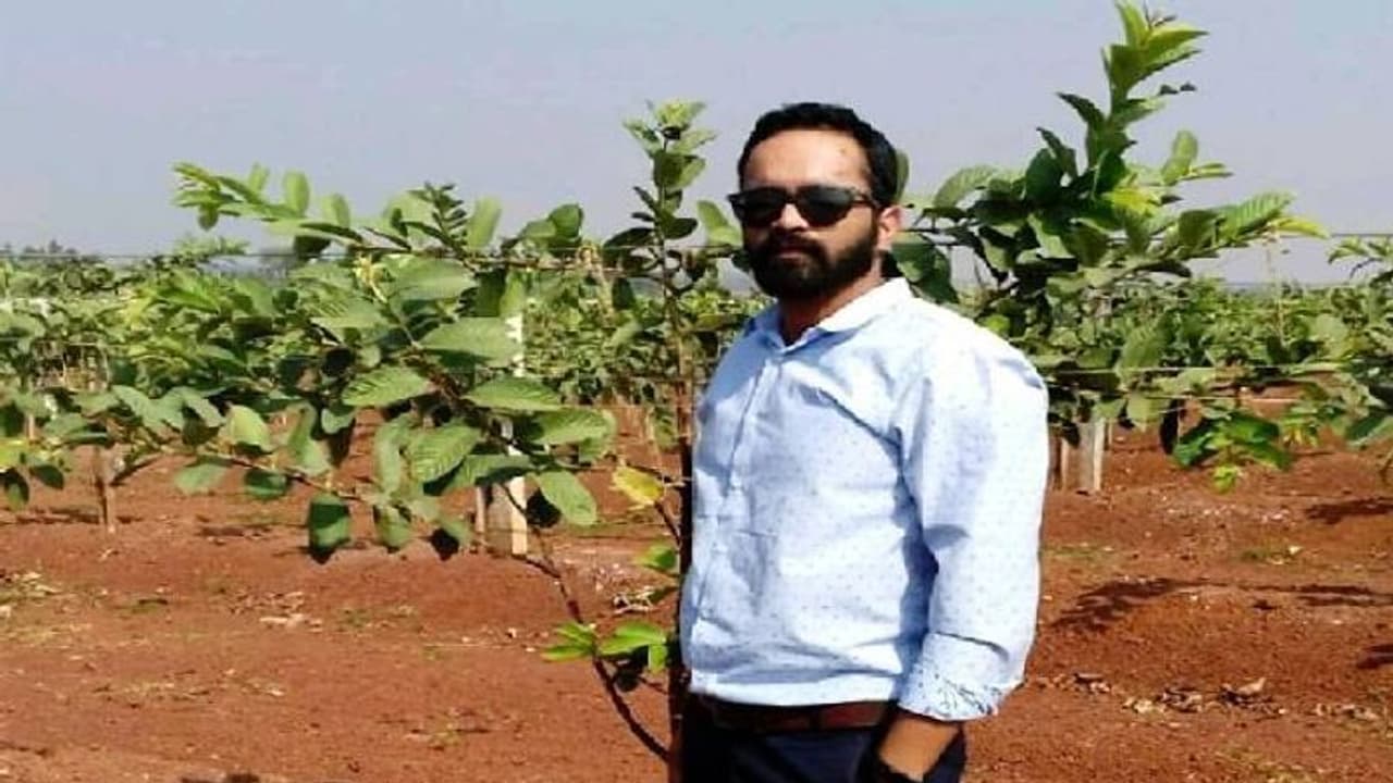 ജോലി ഉപേക്ഷിച്ച് തായ്പേ‍ര കൃഷിയിലേ​ക്ക്, ഒരൊറ്റ വിളയിൽ നിന്നും ലക്ഷങ്ങൾ!