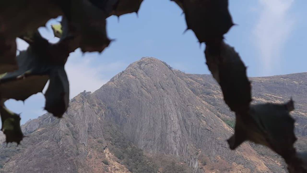 പാലക്കാട് ചെറാട് മലയിൽ വീണ്ടും ആളുകൾ; മലയുടെ മുകൾ ഭാഗത്ത് നിന്നും ഫ്ലാഷ് ലൈറ്റുകൾ തെളിയുന്നു പാലക്കാട് ചെറാട് മലയിൽ വീണ്ടും ആളുകൾ; മലയുടെ മുകൾ ഭാഗത്ത് നിന്നും ഫ്ലാഷ് ലൈറ്റുകൾ തെളിയുന്നു
