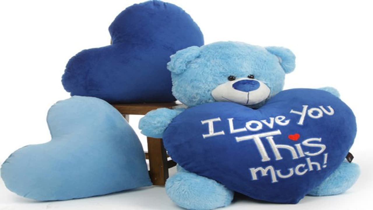 Teddy Day : ಮುದ್ದು ಮುದ್ದಾದ ಟೆಡ್ಡಿ ಗಿಫ್ಟ್ ಮಾಡುವ ಮೊದಲು ಅರ್ಥ ತಿಳಿದುಕೊಳ್ಳಿ