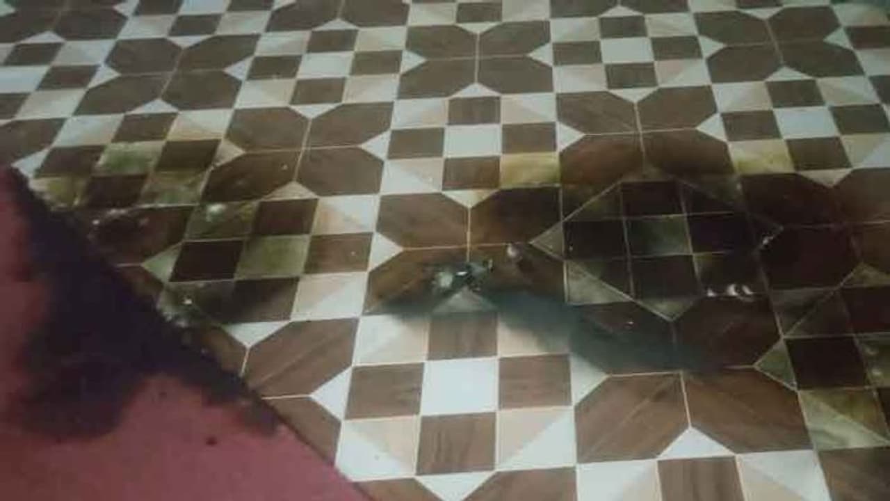 TN BJP : பாஜக அலுவலகத்தில் பெட்ரோல் குண்டு வீசியது ஏன் தெரியுமா? கைதானவர் கூறும் அதிர்ச்சி தகவல்..! TN BJP : பாஜக அலுவலகத்தில் பெட்ரோல் குண்டு வீசியது ஏன் தெரியுமா? கைதானவர் கூறும் அதிர்ச்சி தகவல்..!