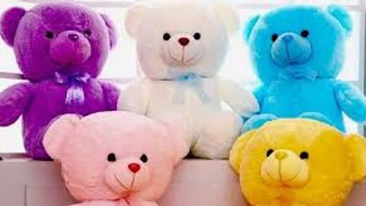 প্রতিটি রঙের Teddy bear এর আলাদা অর্থ রয়েছে, উপহার দেওয়ার আগে এই জিনিসগুলি জেনে নিন