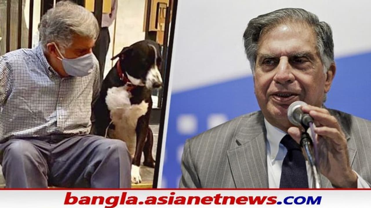 রতন টাটার সারক্ষণের সঙ্গী এই সারমেয়, জানুন এক অনবদ্য কাহিনি রতন টাটার সারক্ষণের সঙ্গী এই সারমেয়, জানুন এক অনবদ্য কাহিনি