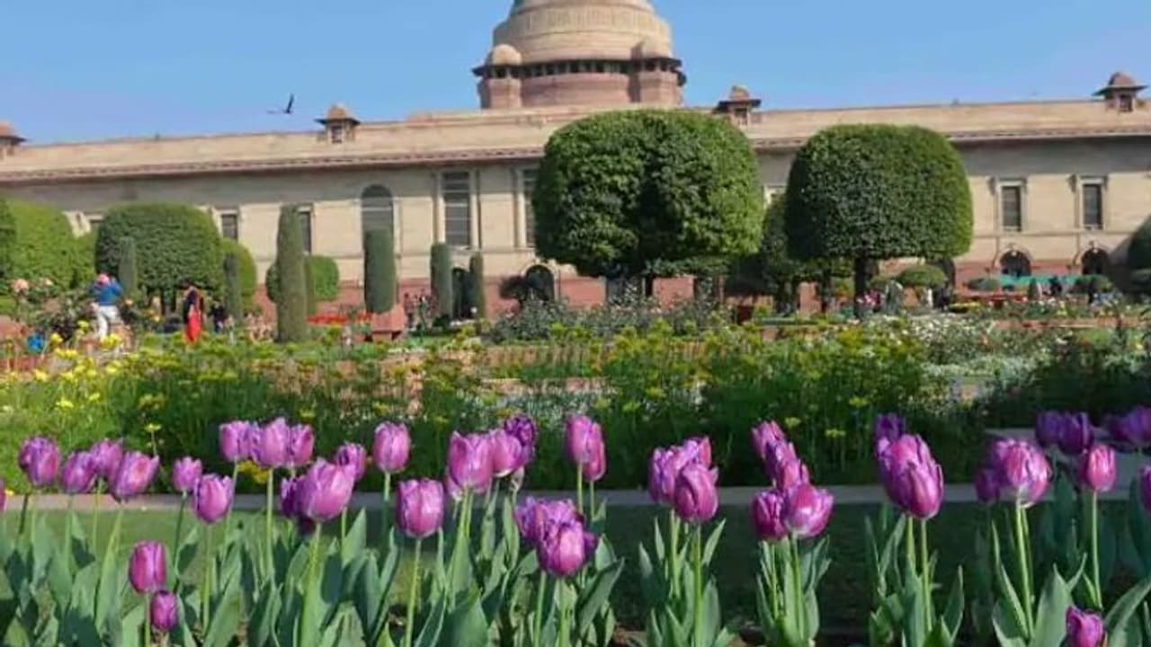 16 मार्च तक देखा जा सकेगा राष्ट्रपति भवन का मुगल गार्डन; ऑनलाइन बुकिंग से मिलेगी एंट्री