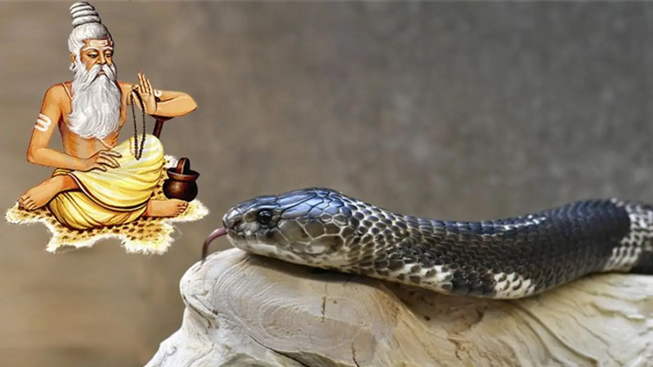 Life Management: शिष्य ने गुरु से कहा कि आपके कमरे में सांप है, ये सुनकर गुरु डरे नहीं बल्कि उन्होंने ये किया? Life Management: शिष्य ने गुरु से कहा कि आपके कमरे में सांप है, ये सुनकर गुरु डरे नहीं बल्कि उन्होंने ये किया?