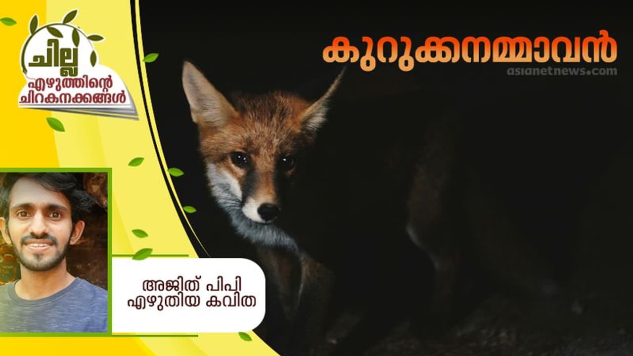Malayalam Poem : കുറുക്കനമ്മാവന്‍, അജിത് പിപി എഴുതിയ കവിത