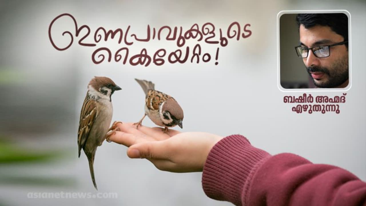Eco Friendly Living : ഇണകളുടെ രൂപത്തിലാണ് കയ്യേറ്റക്കാര് വന്നത് Eco Friendly Living : ഇണകളുടെ രൂപത്തിലാണ് കയ്യേറ്റക്കാര് വന്നത്