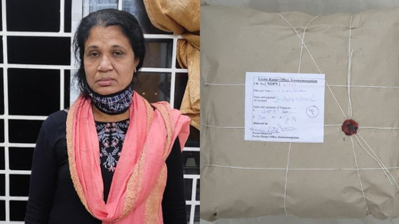 കഞ്ചാവ് കേസില്‍ ജാമ്യത്തിലിറങ്ങി, വീണ്ടും കഞ്ചാവ് വില്‍പ്പന; പ്രതി പിടിയില്‍