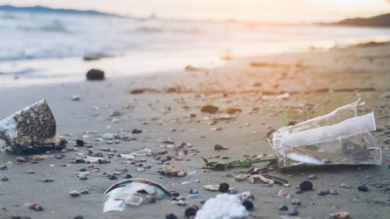 കടലില് സ്ത്രീയുടെ നഗ്നശരീരം, കഷ്ടപ്പെട്ട് രക്ഷപ്പെടുത്താനോടി, ചിരിച്ചുകൊണ്ട് തിരികെവന്നു കടലില് സ്ത്രീയുടെ നഗ്നശരീരം, കഷ്ടപ്പെട്ട് രക്ഷപ്പെടുത്താനോടി, ചിരിച്ചുകൊണ്ട് തിരികെവന്നു