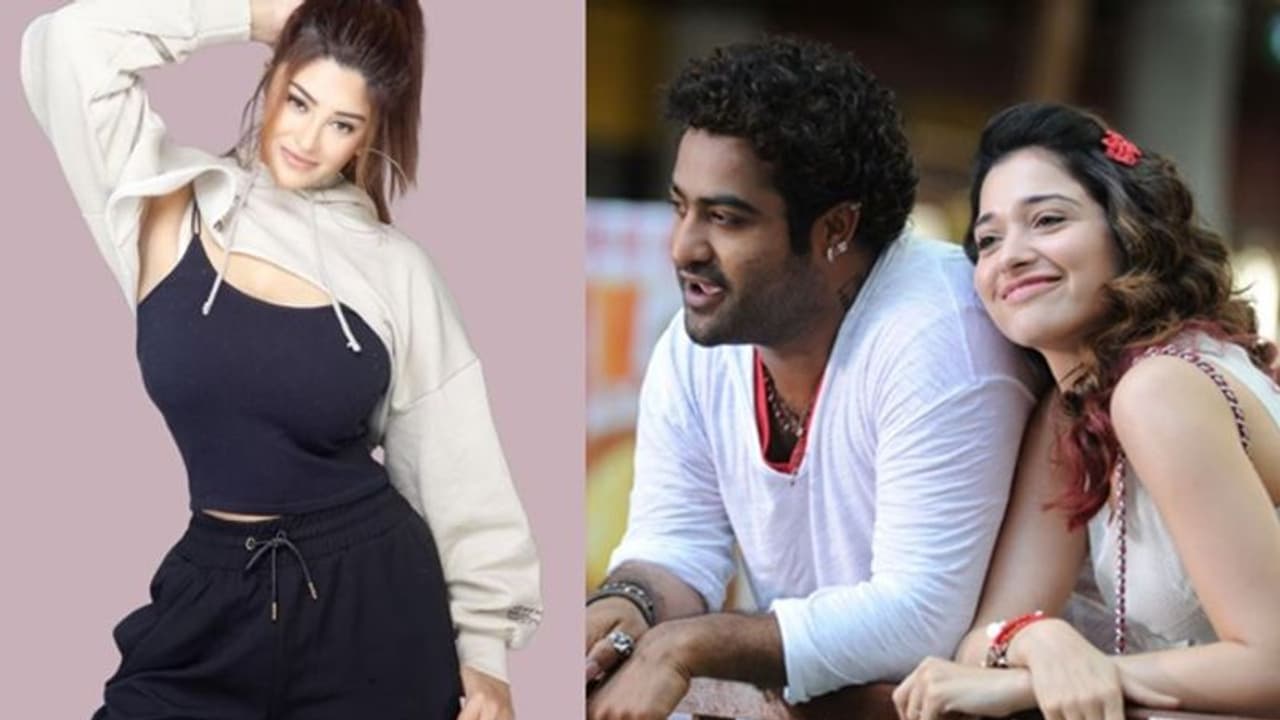 నేను చెప్పిందే నిజమైంది.. 'ఎన్టీఆర్' పై 'ఊసరవెల్లి' బ్యూటీ కామెంట్స్ నేను చెప్పిందే నిజమైంది.. 'ఎన్టీఆర్' పై 'ఊసరవెల్లి' బ్యూటీ కామెంట్స్