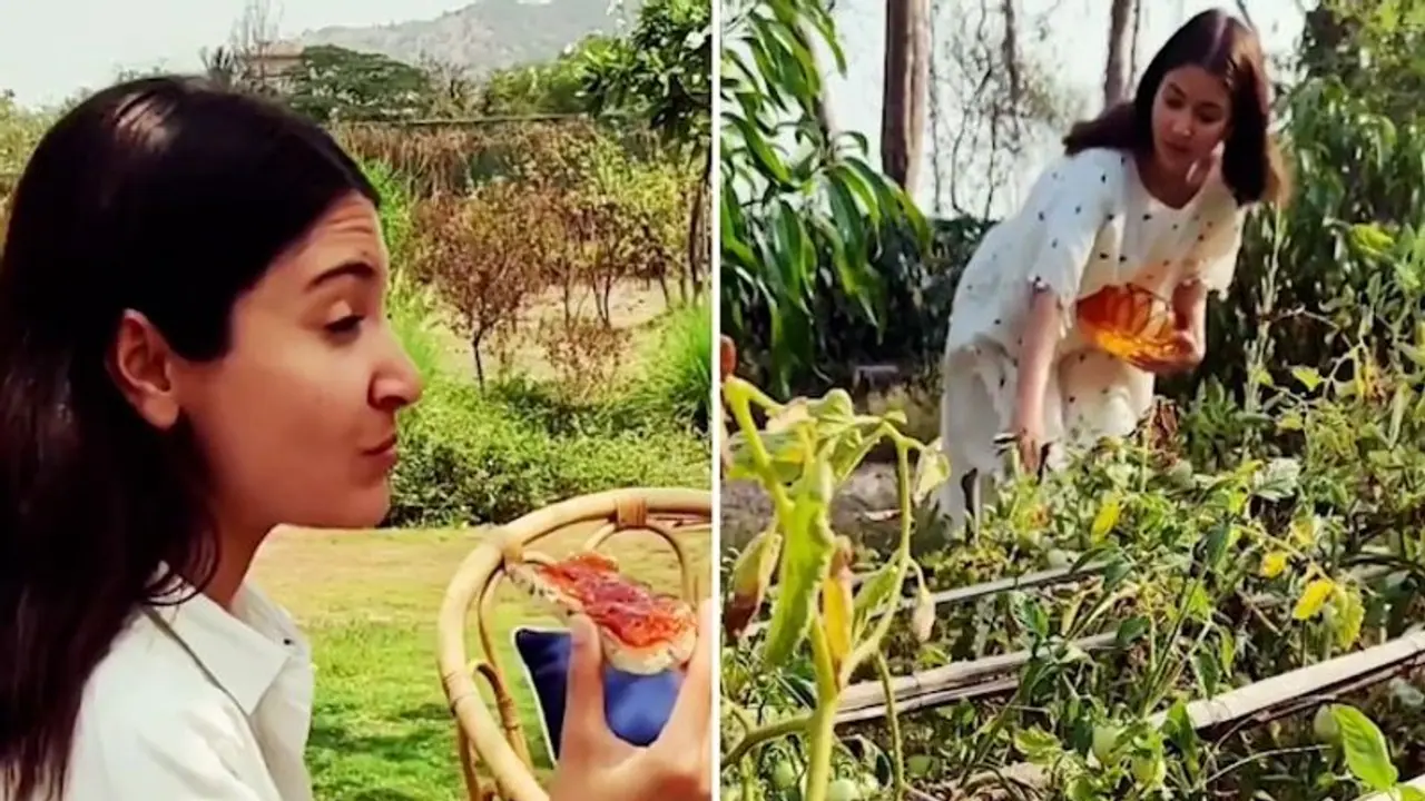 Want to learn how to make a tomato jam? Here’s Anushka Sharma teaching you to make one; watch
