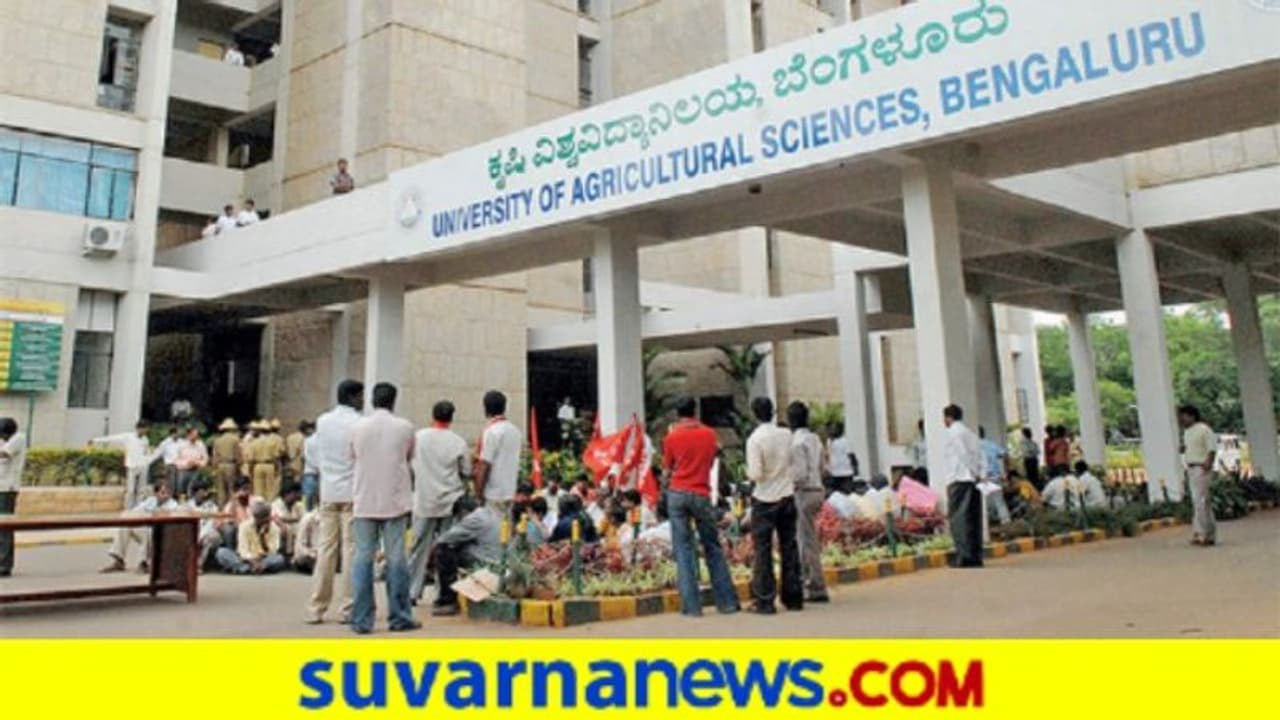 GKVK Bangalore Recruitment 2022: ಅಸಿಸ್ಟೆಂಟ್ ಪ್ರೊಫೆಸರ್ ಸೇರಿ ಒಟ್ಟು 19 ಹುದ್ದೆಗಳಿಗೆ ಅರ್ಜಿ ಆಹ್ವಾನ GKVK Bangalore Recruitment 2022: ಅಸಿಸ್ಟೆಂಟ್ ಪ್ರೊಫೆಸರ್ ಸೇರಿ ಒಟ್ಟು 19 ಹುದ್ದೆಗಳಿಗೆ ಅರ್ಜಿ ಆಹ್ವಾನ
