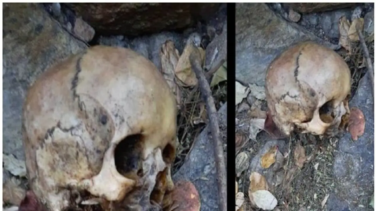 റോഡ് അരികില്‍ കവറിൽ പൊതിഞ്ഞ നിലയിലുള്ള രണ്ട് തലയോട്ടികൾ കണ്ടെത്തി
