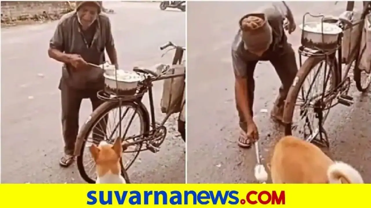 ಬೀದಿನಾಯಿಗೆ ಅನ್ನ ಹಾಕಿದ ವೃದ್ಧ... ಭಾವುಕ ವಿಡಿಯೋ ವೈರಲ್