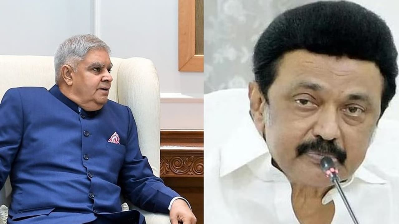 உண்மையை ஆராயாமல் முதலமைச்சர் பேசுகிறார்.. மனதை புண்படுத்தும்படி உள்ளது..மேற்குவங்க ஆளுநர் ட்வீட்..