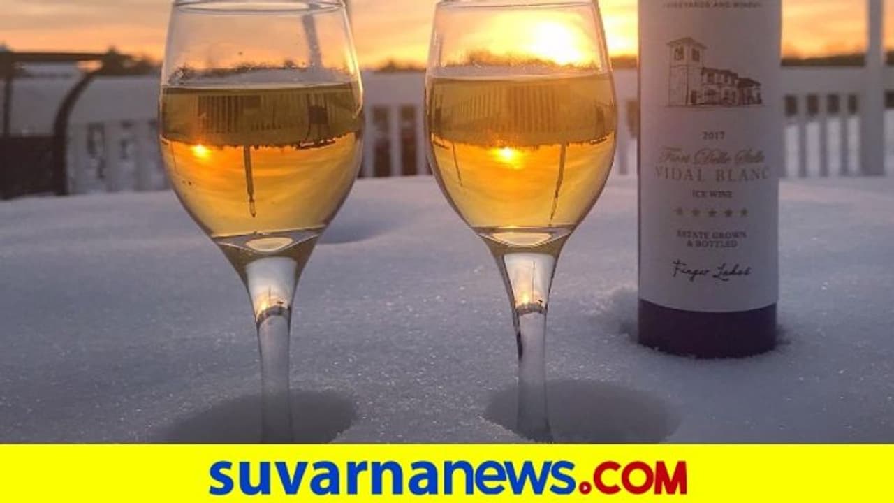 Wine Varieties: ಐಸ್ ವೈನ್ ಟೇಸ್ಟ್ ಮಾಡಿದ್ದೀರಾ ? Wine Varieties: ಐಸ್ ವೈನ್ ಟೇಸ್ಟ್ ಮಾಡಿದ್ದೀರಾ ?