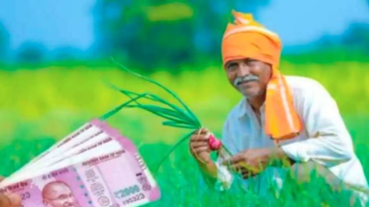 PM Kisan: ರೈತರಿಗೆ ಶುಭ ಸಮಾಚಾರ; ನಾಳೆ ಖಾತೆಗೆ ಪಿಎಂ ಕಿಸಾನ್ ಯೋಜನೆಯ 11ನೇ ಕಂತಿನ ಹಣ? 
