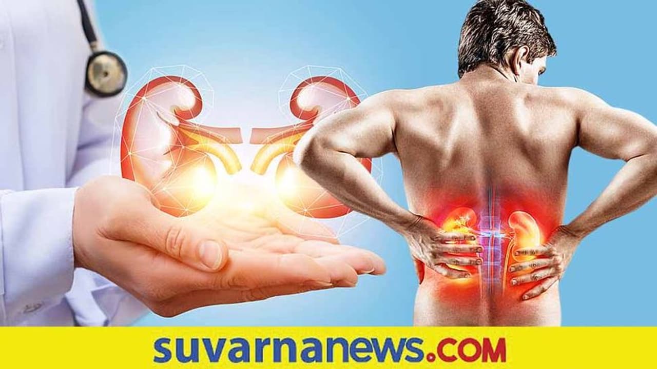 Kidney Health: ಬರಲಿದೆ ಬೇಸಿಗೆ, ಕಿಡ್ನಿ ಕಾಪಾಡಿಕೊಳ್ಳಿ ಹೀಗೆ...