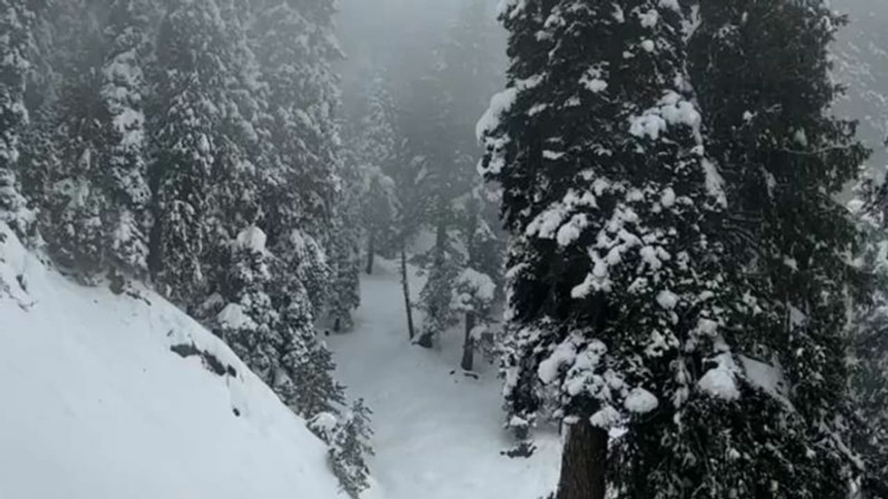 Weather Report: अगले 4 5 दिनों तक सुबह शाम की सर्दी से निजात मिलने की उम्मीद न रखें; जानिए कैसा रहेगा मौसम