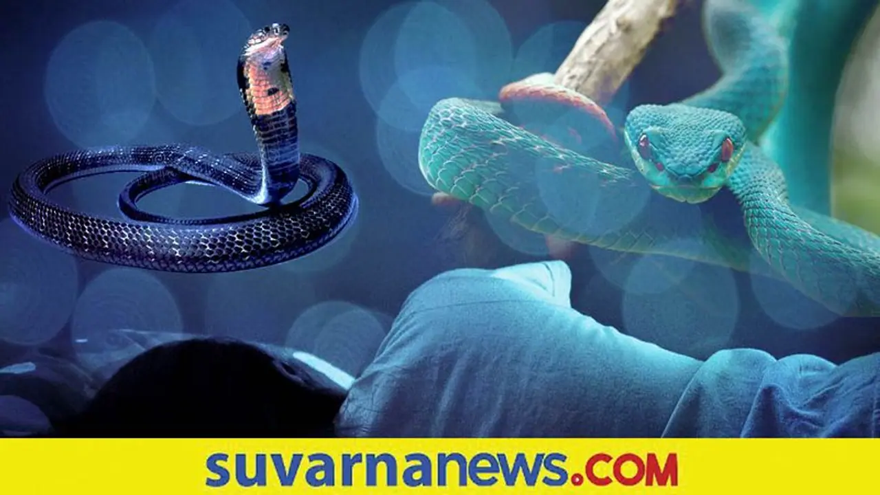 Dream Interpretation: ಕನಸಲ್ಲಿ ಹಾವು ಪದೇ ಪದೇ ಬರ್ತಿದ್ಯಾ? ಕಾರಣ ಹೀಗಿರಬಹುದು.. Dream Interpretation: ಕನಸಲ್ಲಿ ಹಾವು ಪದೇ ಪದೇ ಬರ್ತಿದ್ಯಾ? ಕಾರಣ ಹೀಗಿರಬಹುದು..