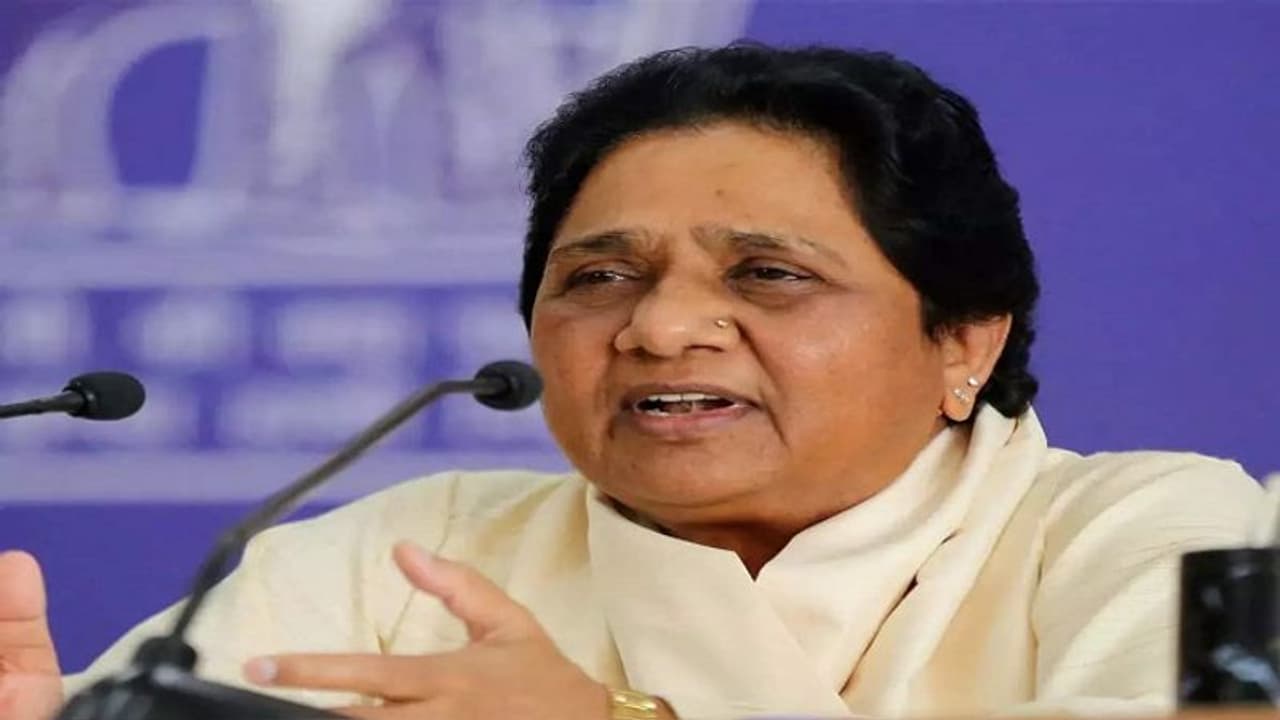 यूपी चुनाव के बीच विपक्षी दलों पर जमकर बरसीं बसपा सुप्रीमो मायावती, BJP पर लगाए ये गंभीर आरोप यूपी चुनाव के बीच विपक्षी दलों पर जमकर बरसीं बसपा सुप्रीमो मायावती, BJP पर लगाए ये गंभीर आरोप