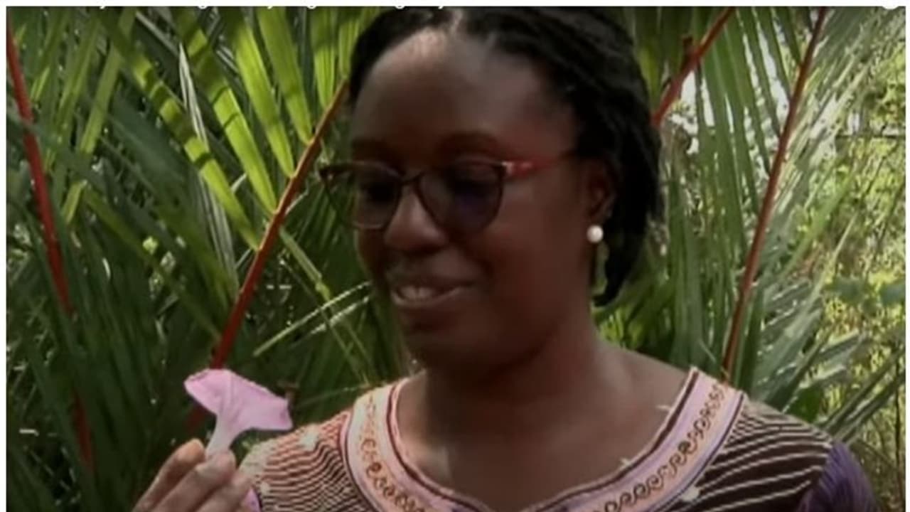 కెన్యా మాజీ ప్రధాని కూతురికి ఆయుర్వేదంతో కంటిచూపు.. ‘ఆయుర్వేదాన్ని మా దేశంలో ప్రారంభిస్తాం’ కెన్యా మాజీ ప్రధాని కూతురికి ఆయుర్వేదంతో కంటిచూపు.. ‘ఆయుర్వేదాన్ని మా దేశంలో ప్రారంభిస్తాం’