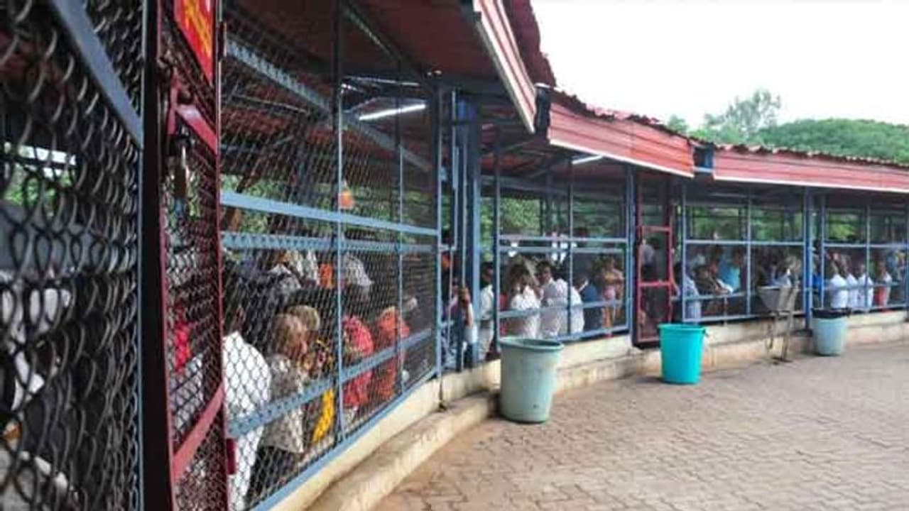 Tirumala Tirupati: திருப்பதி போகும் பக்தர்களுக்கு அதிர்ச்சி செய்தி.. தேவஸ்தானம் எடுத்த அதிரடி முடிவு..! Tirumala Tirupati: திருப்பதி போகும் பக்தர்களுக்கு அதிர்ச்சி செய்தி.. தேவஸ்தானம் எடுத்த அதிரடி முடிவு..!