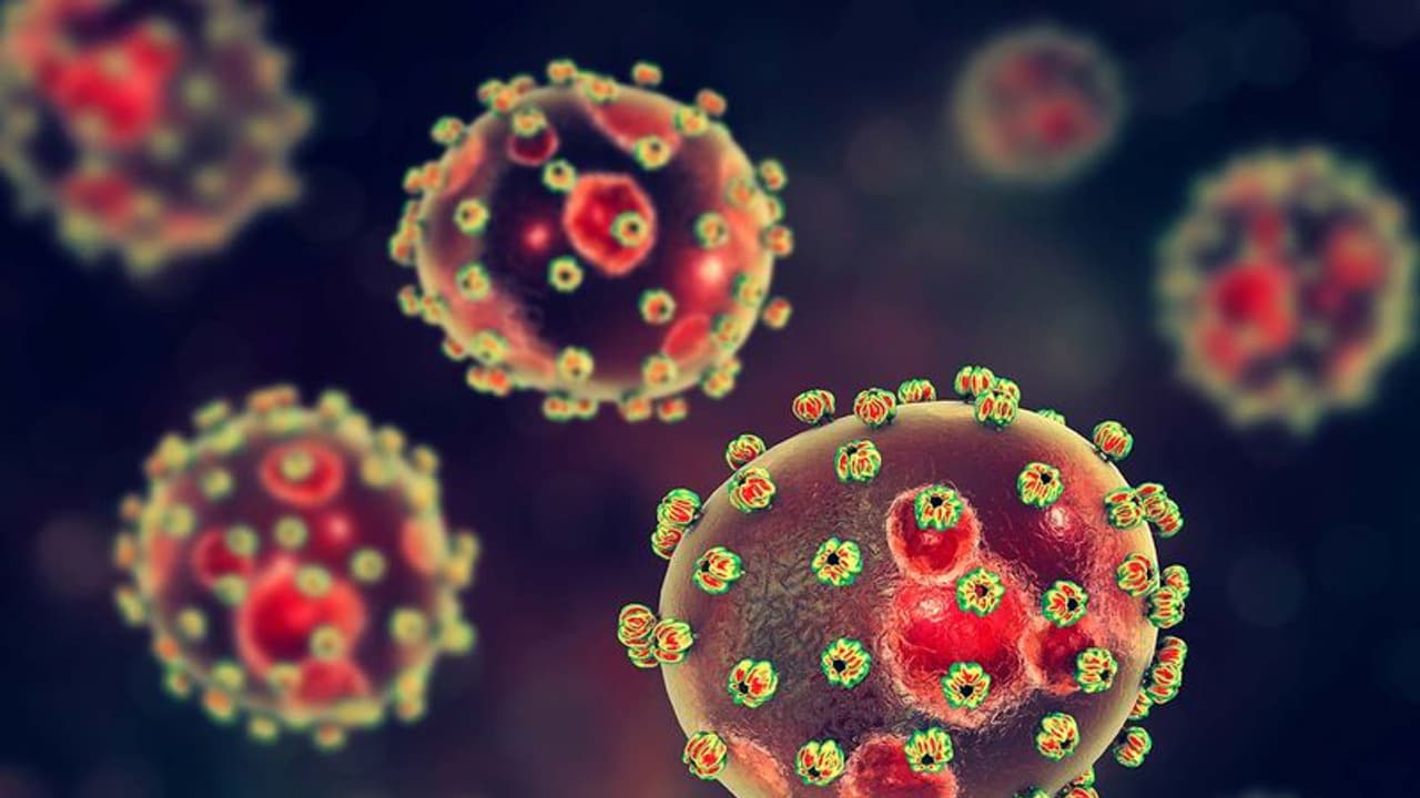 Lassa Fever : ലാസാ പനിയെ കുറിച്ച് കൂടുതലറിയാം; എങ്ങനെ പ്രതിരോധിക്കാം?