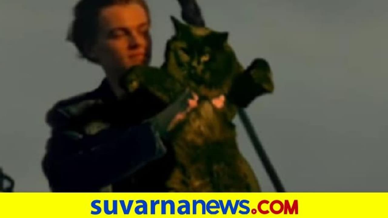 ಕೇಟ್‌ ಅಲ್ಲ ಕ್ಯಾಟ್... ಟೈಟಾನಿಕ್‌ ಸಿನಿಮಾದಲ್ಲಿ ಹಿರೋಯಿನ್ ಬದಲು ಬೆಕ್ಕು... ಎಡಿಟರ್‌ ಕೈಚಳಕಕ್ಕೆ ಬೆರಗಾದ ಇಂಟರ್‌ನೆಟ್‌