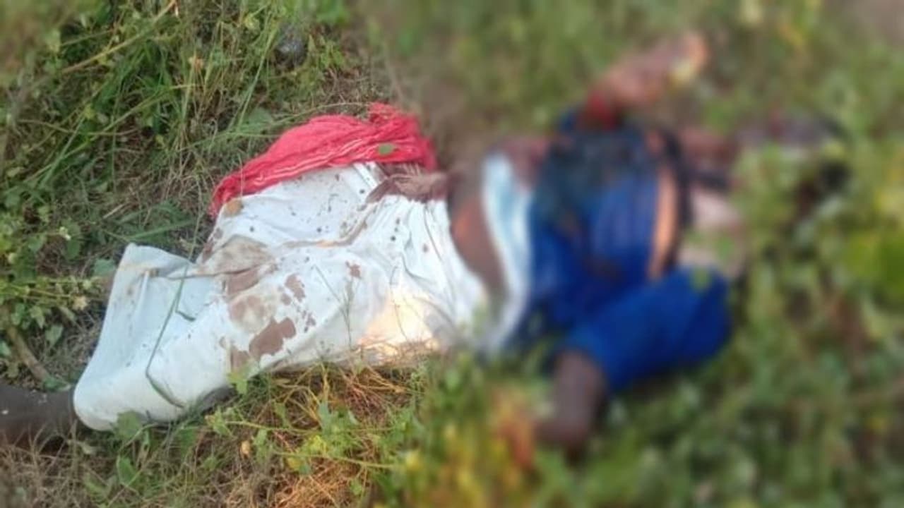 చిలకలూరిపేటలో ఘోరం... పందులు మేపుకునే వ్యక్తి దారుణ హత్య చిలకలూరిపేటలో ఘోరం... పందులు మేపుకునే వ్యక్తి దారుణ హత్య