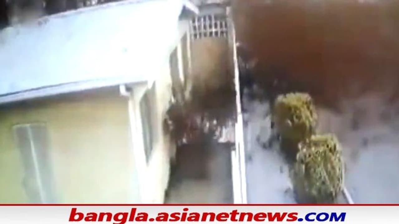 অলৌকিক ঘটনা, আকাশ থেকে মাটিতে আছড়ে পড়ল ঝাঁক ঝাঁক পাখি অলৌকিক ঘটনা, আকাশ থেকে মাটিতে আছড়ে পড়ল ঝাঁক ঝাঁক পাখি