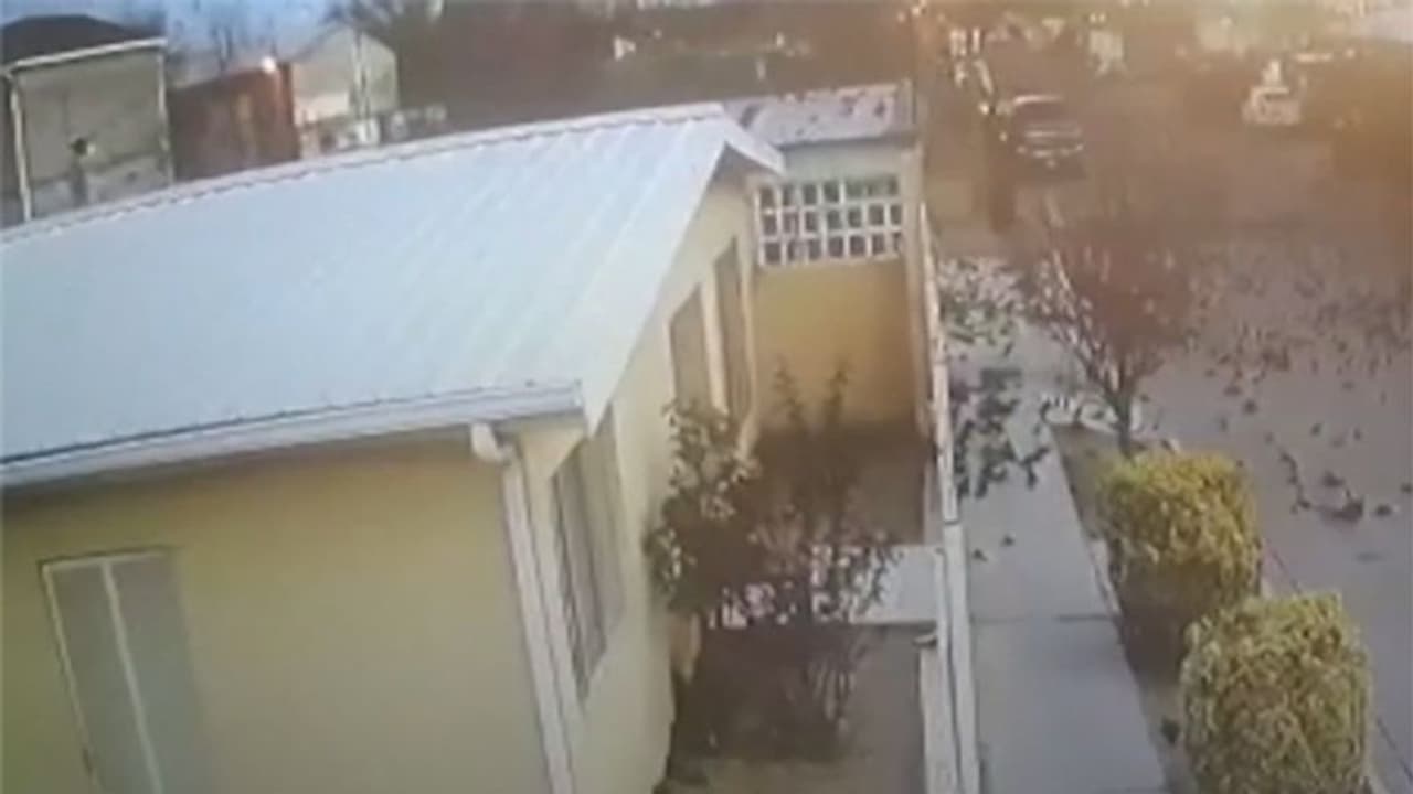 आसमान से जमीन पर क्यों गिरा हजारों पक्षियों का झुंड, कोई 5जी बता रहा तो किसी ने कहा वायु प्रदूषण, देखें वीडियो आसमान से जमीन पर क्यों गिरा हजारों पक्षियों का झुंड, कोई 5जी बता रहा तो किसी ने कहा वायु प्रदूषण, देखें वीडियो