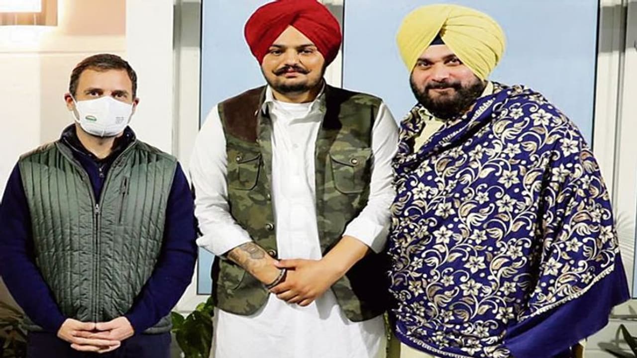 पंजाब चुनाव: विवादित गाने पर बुरे फंस गए कांग्रेस के सिद्धू सिंह मूसेवाला, 2 मार्च तक कोर्ट ने मांगा जवाब