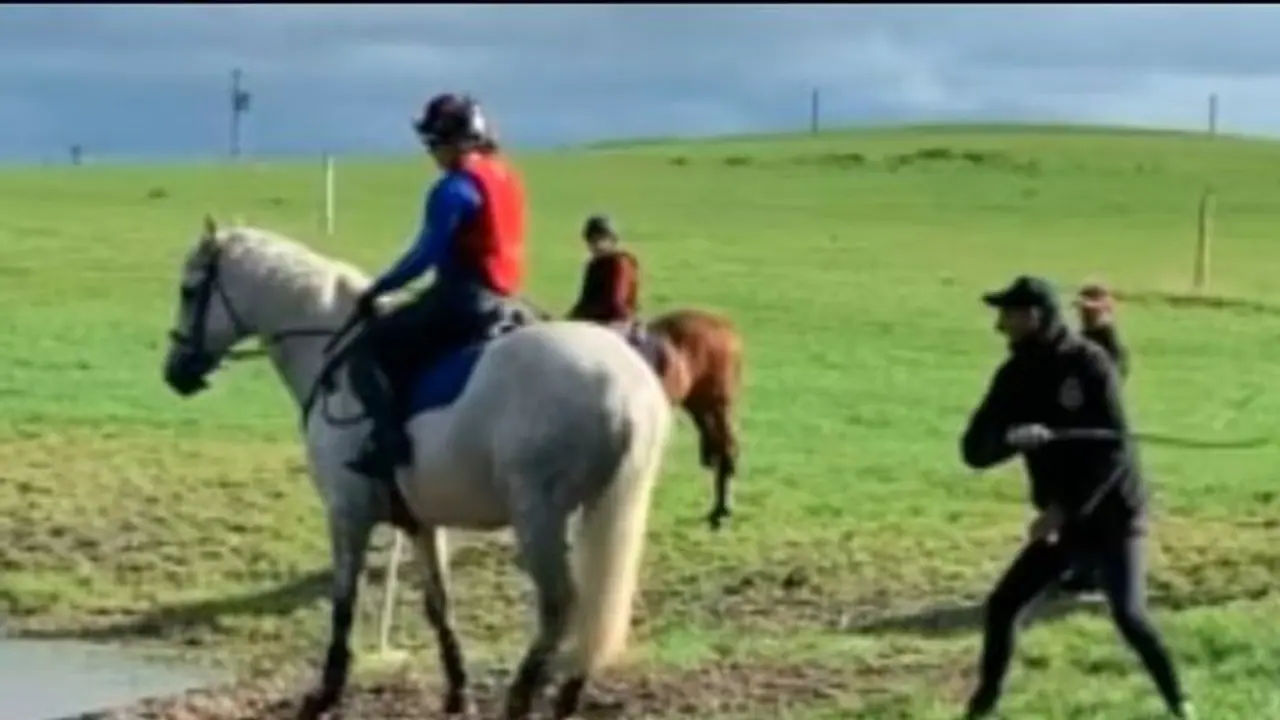 इस ओलंपिक चैंपियन ने खेल के दौरान घोड़े से की थी क्रूरता, मिला ऐसा सबक कि जिंदगीभर नहीं भूलेगा इस ओलंपिक चैंपियन ने खेल के दौरान घोड़े से की थी क्रूरता, मिला ऐसा सबक कि जिंदगीभर नहीं भूलेगा