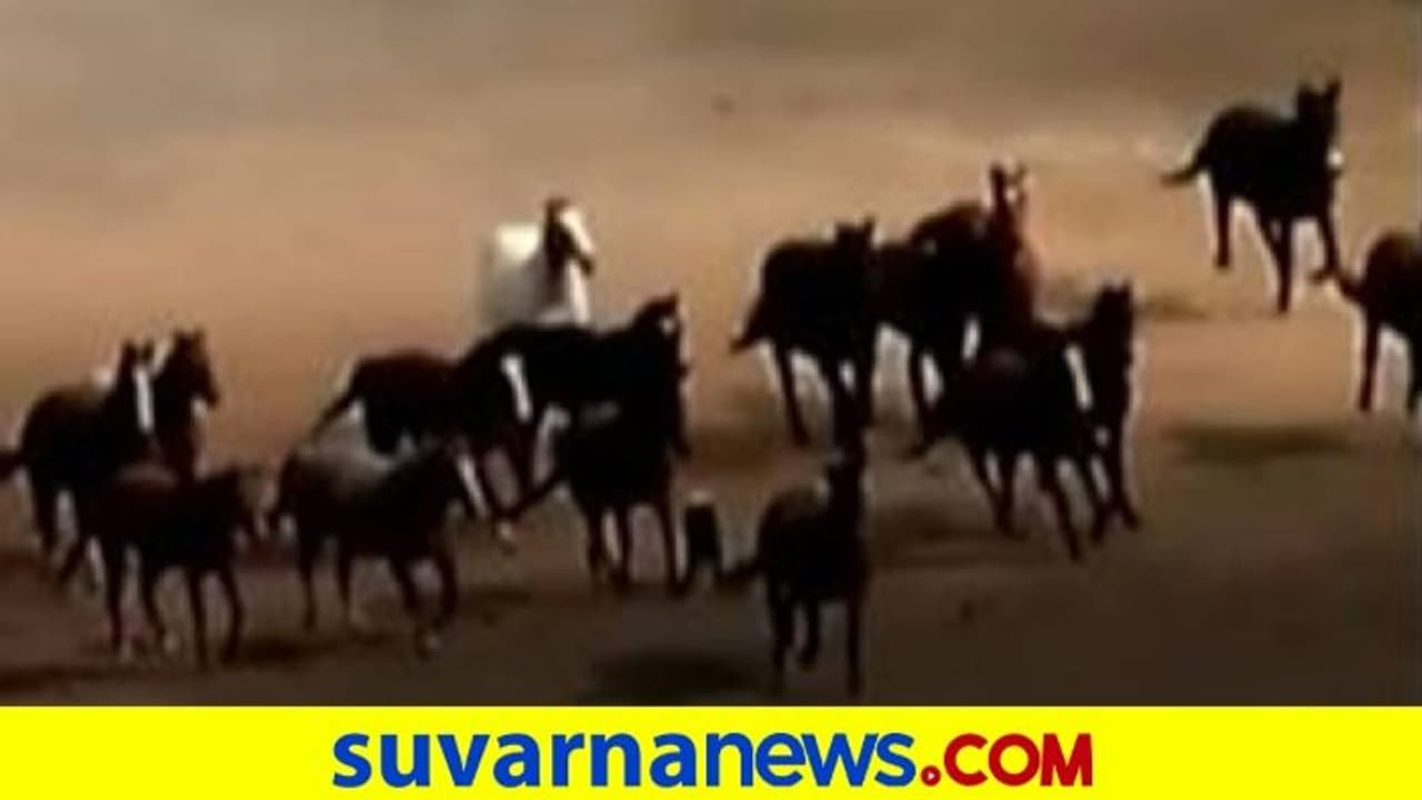 ಬೆಂಕಿ ಅನಾಹುತ... ಭಯಗೊಂಡು ಓಡುತ್ತಿರುವ ಕುದುರೆಗಳ ವಿಡಿಯೋ ವೈರಲ್