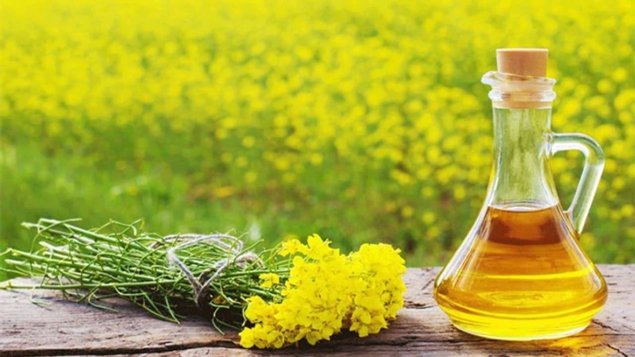 Mustard flowers: हजारों रुपये की क्रीम को फेल कर देते हैं सरसों के फूल, जल्दी ही देख सकते हैं चमत्कार