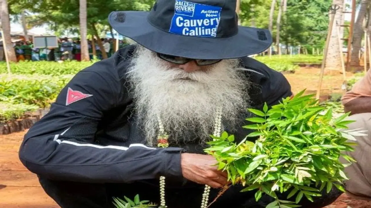 காவேரி கூக்குரல் மூலம் இந்தாண்டு 2.5 கோடி மரங்கள் நட திட்டம்..! கடந்த 2 ஆண்டுகளில் 2.10 கோடி மரங்கள் நடவு காவேரி கூக்குரல் மூலம் இந்தாண்டு 2.5 கோடி மரங்கள் நட திட்டம்..! கடந்த 2 ஆண்டுகளில் 2.10 கோடி மரங்கள் நடவு