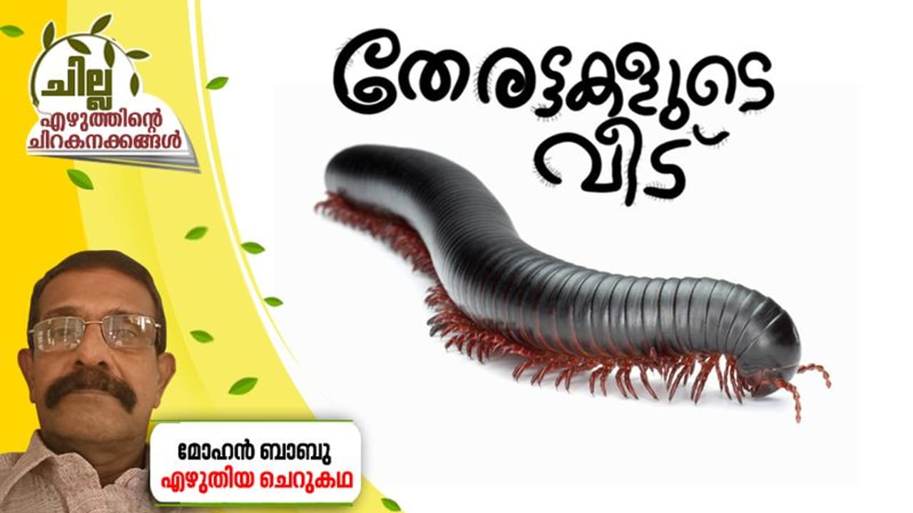 Malayalam Short Story : തേരട്ടകളുടെ വീട് , മോഹന് ബാബു എഴുതിയ ചെറുകഥ Malayalam Short Story : തേരട്ടകളുടെ വീട് , മോഹന് ബാബു എഴുതിയ ചെറുകഥ