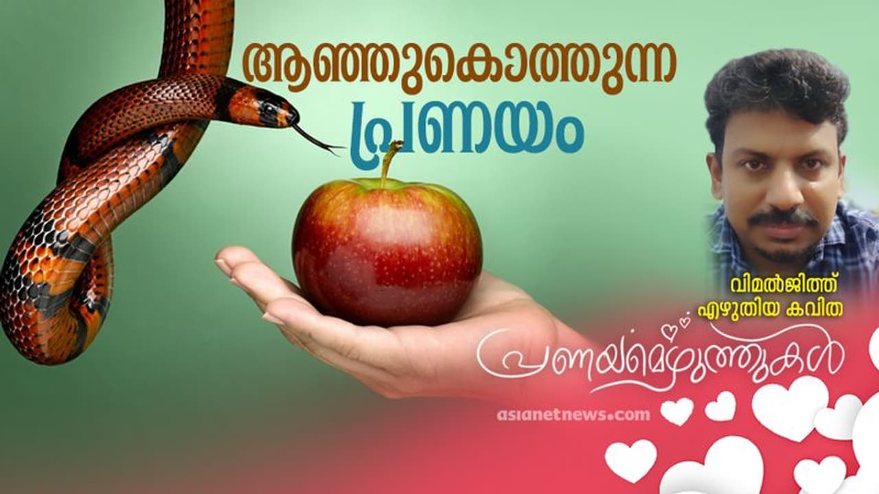 Love Poem : ആഞ്ഞുകൊത്തുന്ന പ്രണയം, വിമല്‍ജിത്ത് എഴുതിയ കവിത