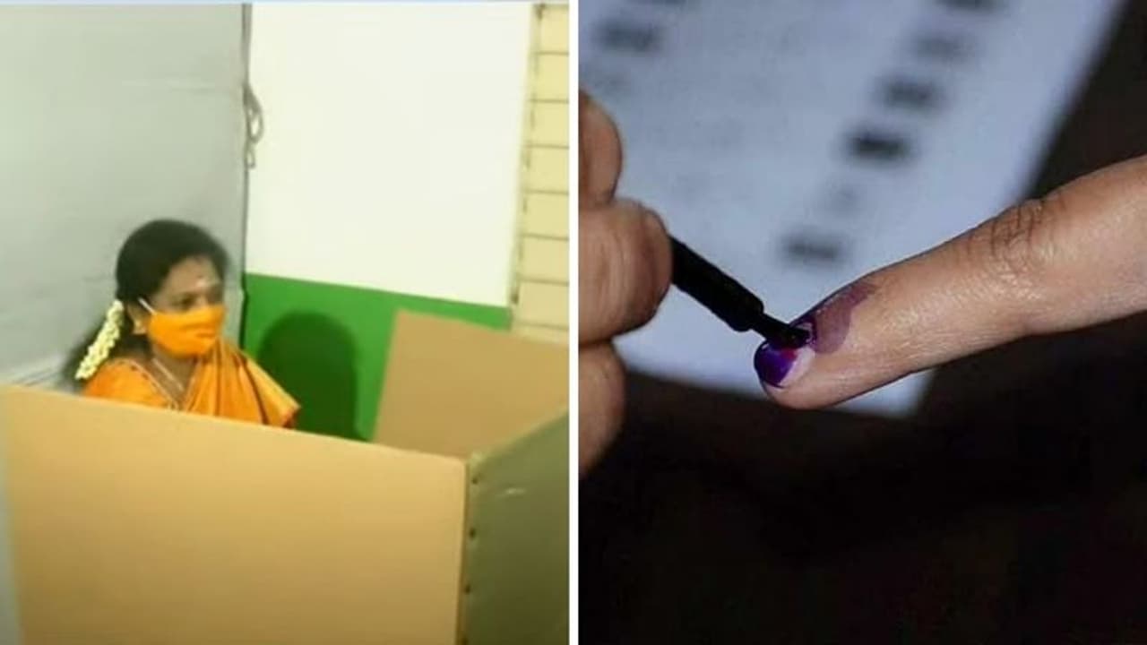 TN Local Body Elections 2022 : முதல் நபராக வாக்களித்தார் தெலுங்கானா ஆளுநர் தமிழிசை சௌந்தர்ராஜன் !!