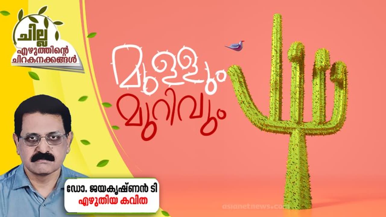 Malayalam Poem : മുള്ളും മുറിവും, ഡോ. ജയകൃഷ്ണന് ടി എഴുതിയ കവിത Malayalam Poem : മുള്ളും മുറിവും, ഡോ. ജയകൃഷ്ണന് ടി എഴുതിയ കവിത