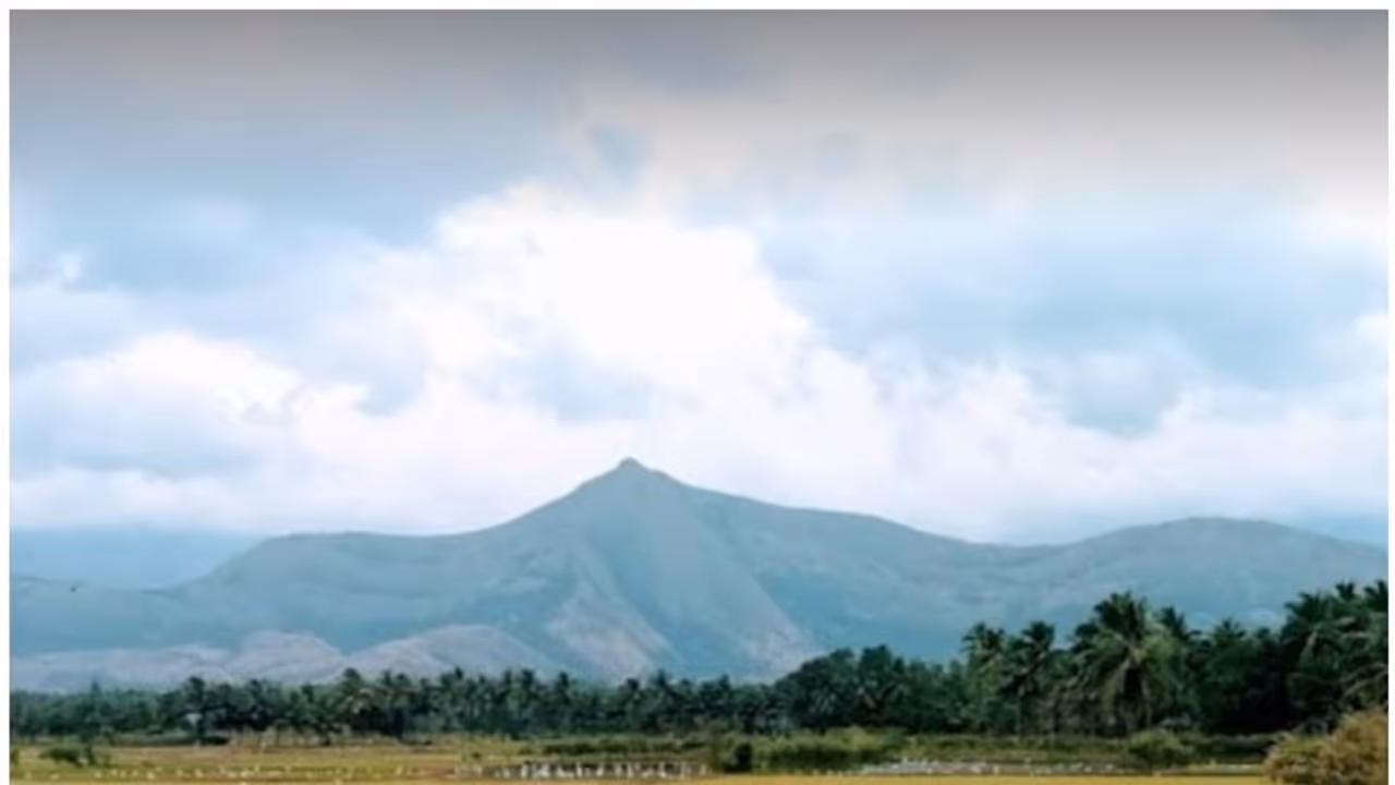 Koombachi Mala : കൂമ്പാച്ചി മലയിലേക്ക് കയറിയാല് കേസെടുക്കും; നിർദ്ദേശം നൽകി ജില്ലാ കളക്ടർ Koombachi Mala : കൂമ്പാച്ചി മലയിലേക്ക് കയറിയാല് കേസെടുക്കും; നിർദ്ദേശം നൽകി ജില്ലാ കളക്ടർ