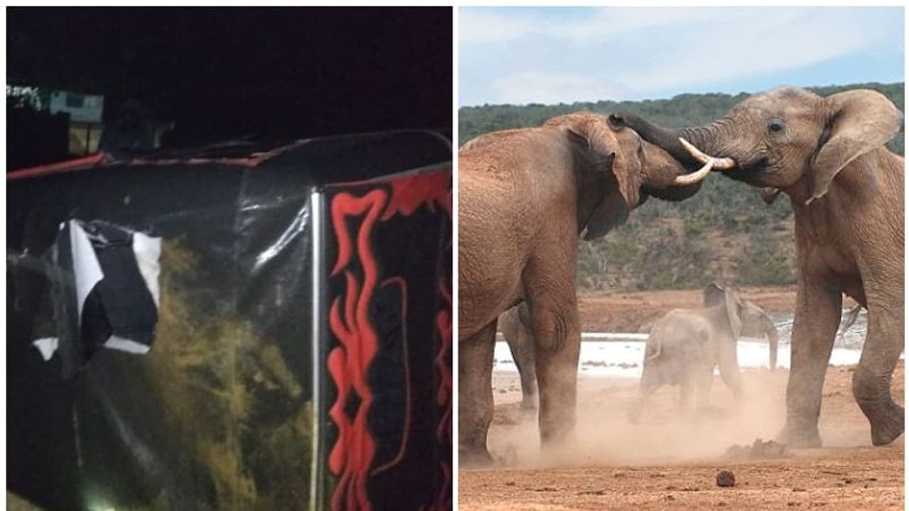 elephant fight : മൂന്നാറില് കാട്ടാനകള് ഏറ്റുമുട്ടി; സമീപത്ത് നിര്ത്തിയിട്ടിരുന്ന ഓട്ടോ തകര്ത്തു elephant fight : മൂന്നാറില് കാട്ടാനകള് ഏറ്റുമുട്ടി; സമീപത്ത് നിര്ത്തിയിട്ടിരുന്ന ഓട്ടോ തകര്ത്തു