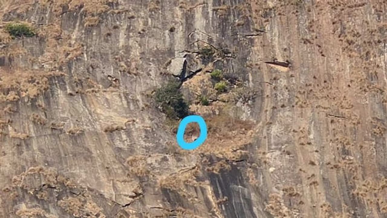 Nandi Hills : ബാബു കുടുങ്ങിയതുപോലെ അപകടം: കർണാടകയിലെ നന്ദി മലയിൽ കുടുങ്ങിയത് 19 കാരൻ Nandi Hills : ബാബു കുടുങ്ങിയതുപോലെ അപകടം: കർണാടകയിലെ നന്ദി മലയിൽ കുടുങ്ങിയത് 19 കാരൻ