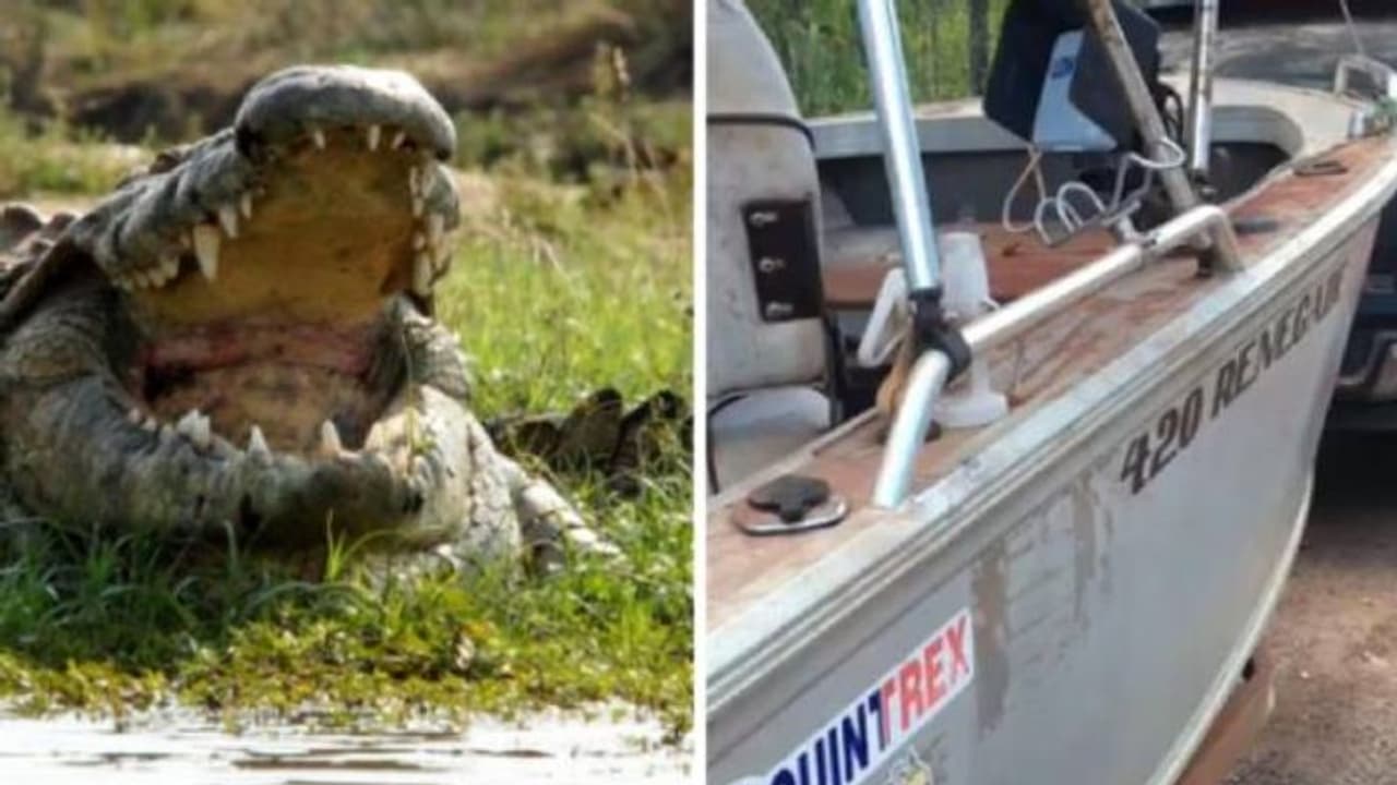 കണ്ണ് തുറന്ന് നോക്കിയപ്പോൾ തൊട്ടടുത്തൊരു മുതല, ഭയന്നു വിറച്ച് മത്സ്യത്തൊഴിലാളികൾ, ഒടുവിൽ... കണ്ണ് തുറന്ന് നോക്കിയപ്പോൾ തൊട്ടടുത്തൊരു മുതല, ഭയന്നു വിറച്ച് മത്സ്യത്തൊഴിലാളികൾ, ഒടുവിൽ...