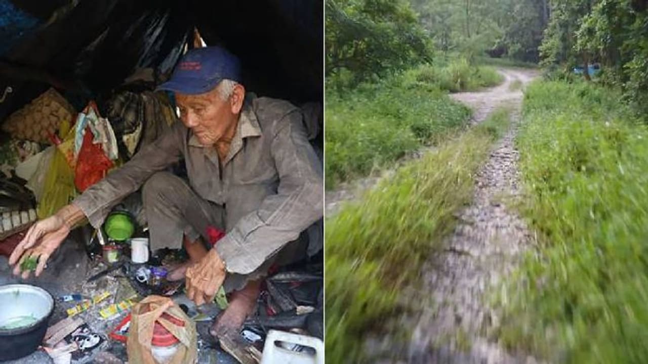 Oh Go Seng : അവിശ്വസനീയം! 30 കൊല്ലക്കാലം ആരുമറിയാതെ കാട്ടിൽ തനിച്ച്, കഥ പുറത്തറിഞ്ഞത് ഇങ്ങനെ! Oh Go Seng : അവിശ്വസനീയം! 30 കൊല്ലക്കാലം ആരുമറിയാതെ കാട്ടിൽ തനിച്ച്, കഥ പുറത്തറിഞ്ഞത് ഇങ്ങനെ!