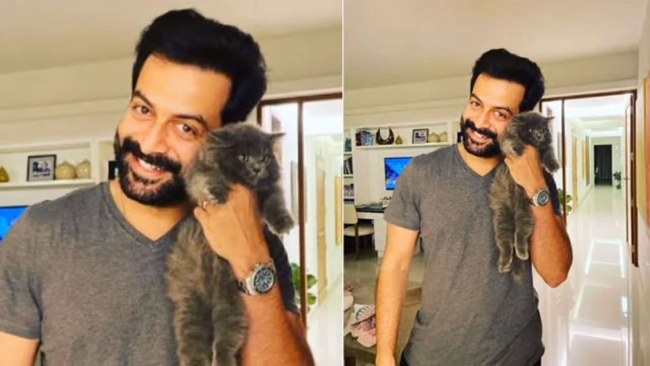 Prithviraj Photos : ‘അവൾക്കും എന്നെ ഇഷ്ട്ടപ്പെട്ടില്ല’: റോക്സിയെ ചേർത്തു പിടിച്ച് പൃഥ്വിരാജ്